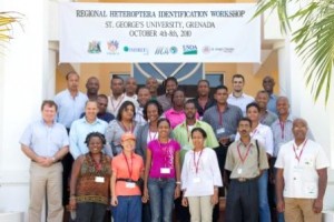 Heteropteran Workshop - Group Photo