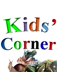 Kids Corner Logo