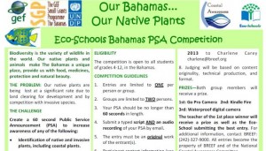 EcoSchools Competition
