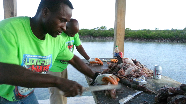 /wp-content/uploads/2013/05/Bahamas-Press_Lionfish-Hunt.May2013-1.jpg