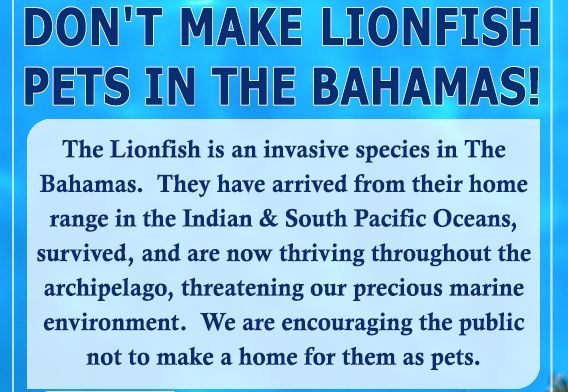 /wp-content/uploads/2013/05/Lionfish-brochure-Bahamas-1.jpg