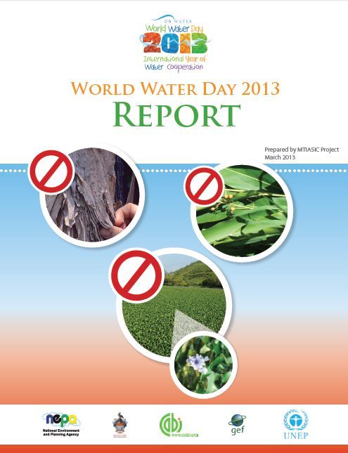 /wp-content/uploads/2013/07/World-Water-Day-2013-Report-1.jpg