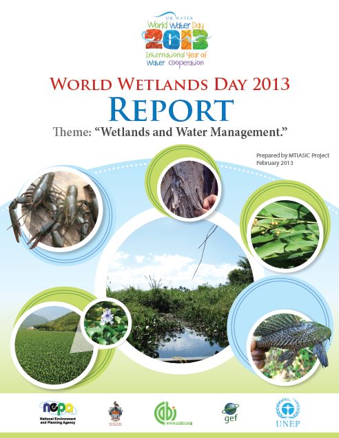 /wp-content/uploads/2013/07/World-Wetlands-Day-Report-2013-1.jpg