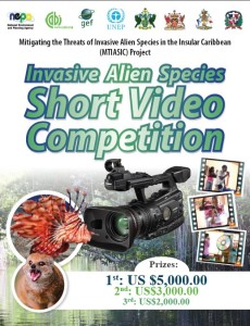 ShortVideoCompetition