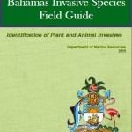 Bahamas IS Field Guide ebook