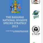 Bahamas Revised NISS 2013 FINAL