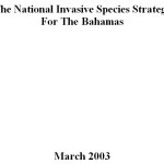 Bahamas national IAS Strategy