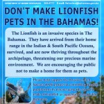 Lionfish Flyer