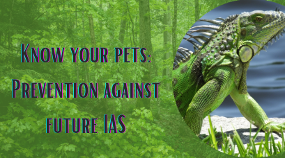 /wp-content/uploads/2021/08/Know-your-pets-Prevention-against-future-IAS.png