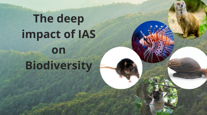 /wp-content/uploads/2021/09/The-deep-impact-of-IAS-on-Biodiversity.png