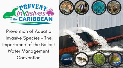 /wp-content/uploads/2021/12/Prevention-of-Aquatic-invasive-species-The-importance-of-the-Ballast-Water-Management-Convention.jpg