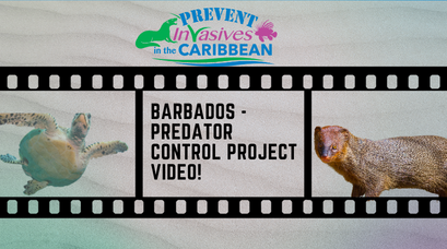 /wp-content/uploads/2022/02/Barbados-Predator-Control-Project-Video1.png