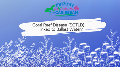 /wp-content/uploads/2022/03/Coral-Reef-Disease-SCTLD-linked-to-Ballast-Water.png