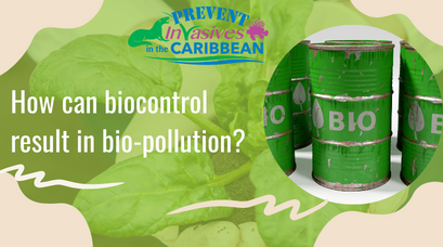 /wp-content/uploads/2022/03/How-can-biocontrol-result-in-bio-pollution-1.png