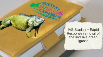 /wp-content/uploads/2022/03/IAS-Studies-Rapid-Response-removal-of-the-invasive-green-iguana.png