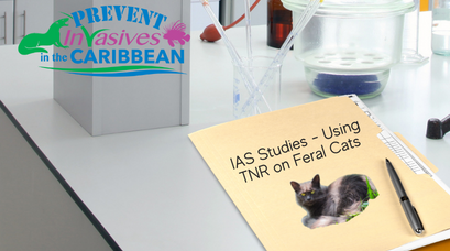 /wp-content/uploads/2022/03/IAS-Studies-Using-TNR-on-Feral-Cats.png