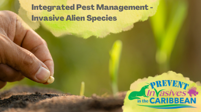 /wp-content/uploads/2022/07/Integrated-Pest-Management-Invasive-Alien-Species.png