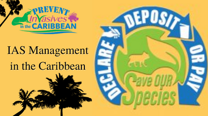 /wp-content/uploads/2022/11/IAS-Management-in-the-Caribbean.png