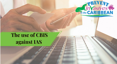 /wp-content/uploads/2023/01/The-use-of-CBIS-against-IAS.png