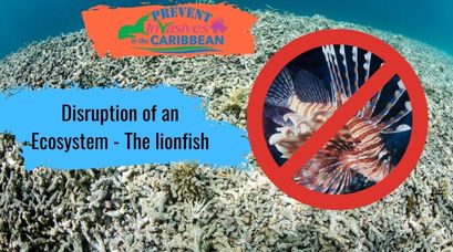 /wp-content/uploads/2022/01/Disruption-of-an-Ecosystem-The-lionfish.jpg