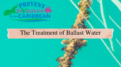 /wp-content/uploads/2022/06/The-Treatment-of-Ballast-Water.png