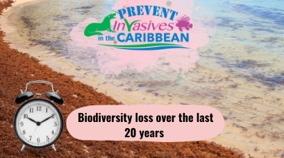 /wp-content/uploads/2022/07/Biodiversity-loss-over-the-last-20-years-.png