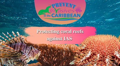 /wp-content/uploads/2022/08/Protecting-coral-reefs-against-IAS-.png